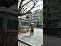 Iвќ пёЏNAMCHI PARK Iвќ пёЏNAMCHI PARK