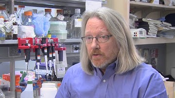 What is the Impact of Pilot Studies?