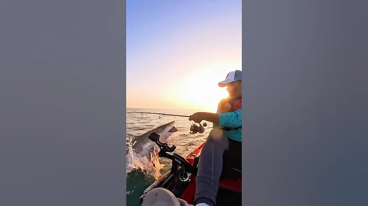 This Is Why You Never Fish in a Kayak 🦈 #shark #fishing