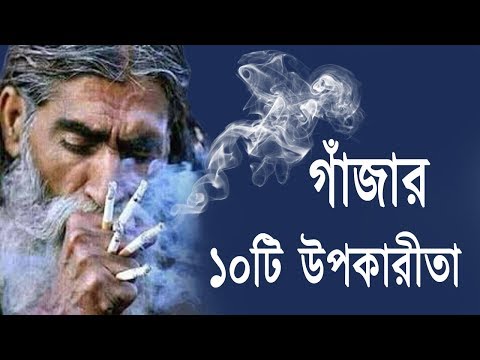 ভিডিও: গাজর কখন তাদের নাম পেয়েছে?