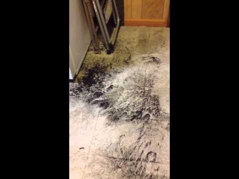 River in my house
