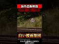 「誰かいる…」森でカメラが記録した"最恐の瞬間" 【世にも奇妙な物語 | 恐怖映像 | 心霊映像】