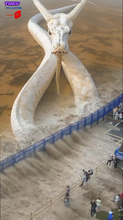 Melihat ular Anaconda putih besar di sungai