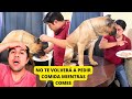 ¿Cómo evitar que tu perro te exija comida mientras comes? 👌🏻💯🐶