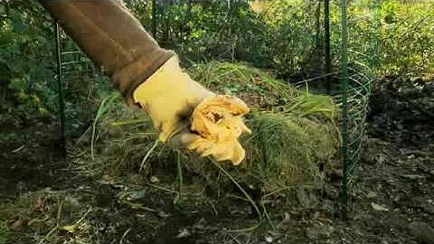 How to Make a Compost Heap