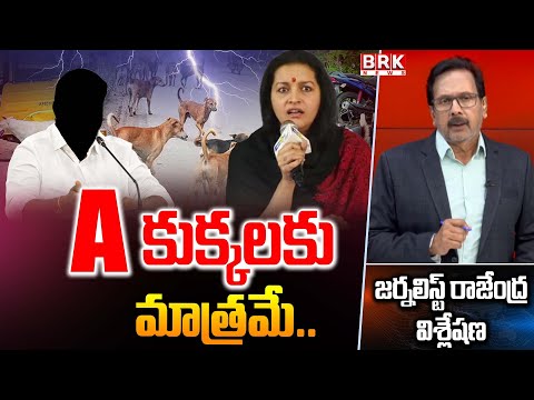 Journalist Rajendra Reacts On Renu Desai Statements Over Dogs Incident || BRK News - TV9
