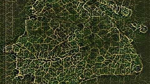 Biomimicry is so Cliche — Machine Learning: leaf vein + Shanghai