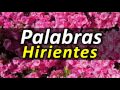 4 Pasos Para que no te Hieran las Palabras