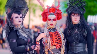 WAVE GOTIK TREFFEN 2024 - The Beautiful Faces | darkTunes Music Group