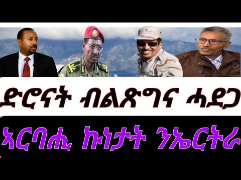ድሮናት ብልጽግና ሓደጋ ኣርባሒ ኩነታት ንኤርትራ ትኺድ ከም ዘላታ ቀዳም 10 ጥሪ 2026 