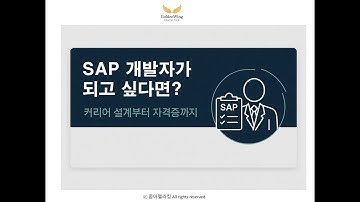 #6. SAP 개발자, 어디서부터 시작할까? | ABAPer의 세계 완전 정리 #sap