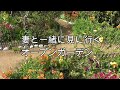 フラワーフェスティバル オープンガーデン
