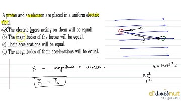 A proton and an electron are placed in a uniform electric field.