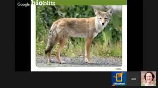 BioBlitz 101