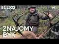 Sudecka ostoja 852022 znajomy byk jagd deer deerhunting hunt