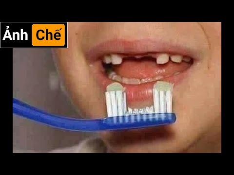 Video Những Hình Ảnh Hài Hước (P 145) - youtube