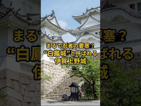 【お城・観光・グルメ】三重県：伊賀上野城の紹介#旅行 #お城 #観光 #グルメ