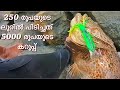 10 കിലോ കറൂപ്പ് | 3 കറൂപ്പ് | caught a monster grouper from Kerala Harbour | Kerala fishing