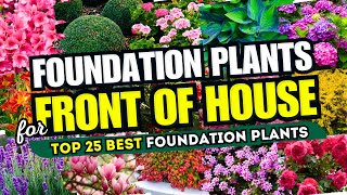 25 Best FOUNDATION PLANTS for Front of House! ✨ FRONT YARD FABULOUSNESS!