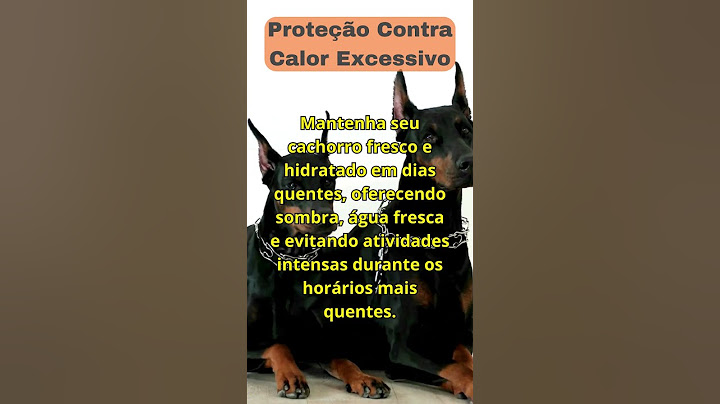 Dicas para seu pet 21 - Proteção contra o calor