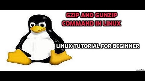 gzip and gunzip command in linux
