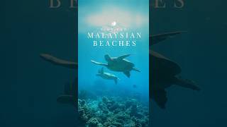 Time For Malaysian Beaches