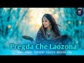 Pregda Che Laozona (فریگدہ چی لوذونہ) | MSRony | RONY Songs | New Pashto Song 2025 Mp3 Song