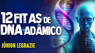 as 12 FITAS de DNA ADÂMICO - JUNIOR LEGRAZIE - #379
