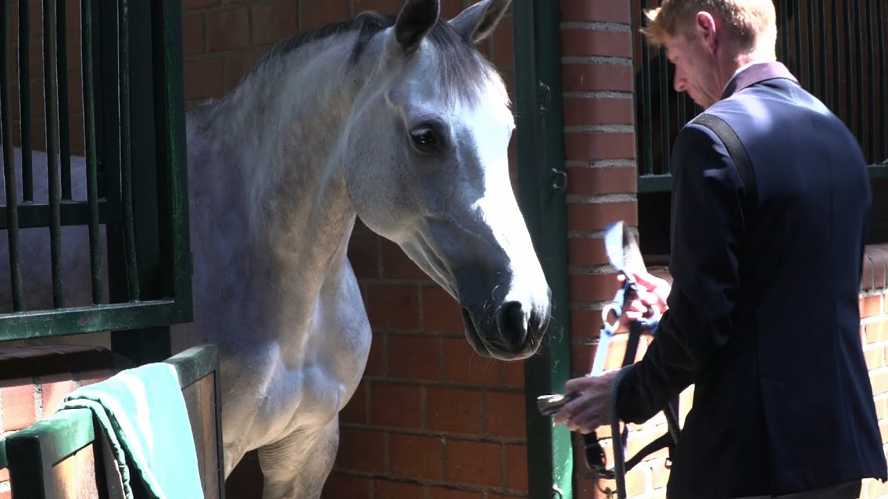 Cavalleria Toscana meets Marcus Ehning @Borken