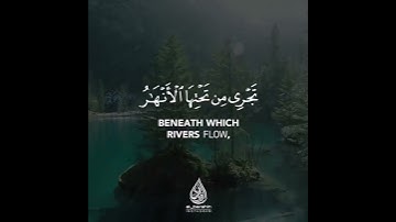سورة العنكبوت | القارئ رعد الكردي