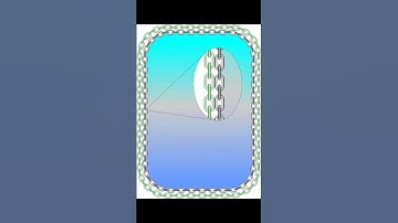 Watch How to Create Amazing Borders in CorelDRAW - Step by Step Tutorial #vce #shorts