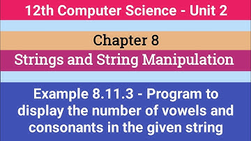 12th Computer Science || Chapter 8 || Example 8.11.3 - Vowels and Consonants program