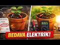 Güneş Paneli Yok, Sıfır Maliyet! Sadece Beş Dakikada Saksıdan Bedava Elektrik Nasıl Üretilir?