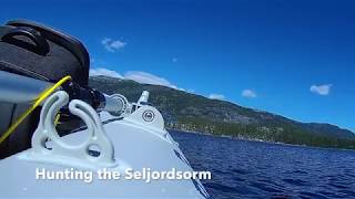 Hunting the Seljordsorm 55 meter underwater with gladius mini. Seljord, Telemark.