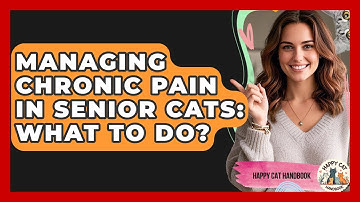 Managing Chronic Pain In Senior Cats: What To Do? - Happy Cat Handbook