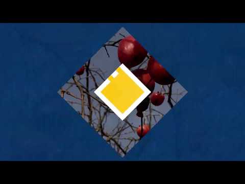 ეთნოფორი • etnopori (ანონსი / რიგით 197-ე) 05.12.2019 წ.