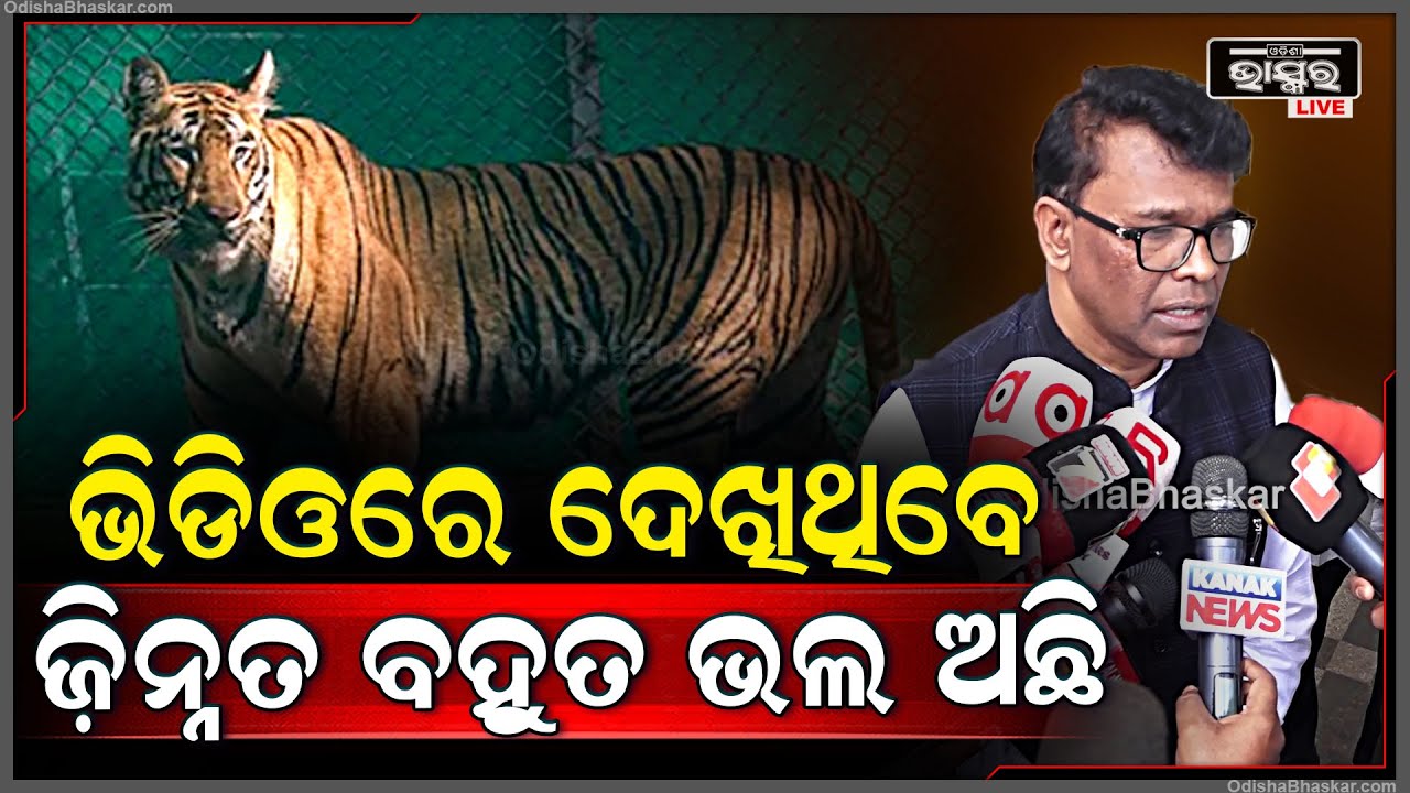 ଜ଼ିନ୍ନତ ବହୁତ ଭଲ ଅଛି..କାଲି ସେ ଜଳକ୍ରୀଡା କରୁଥିଲା...ଜଳବାୟୁ ଉପକୂଳ ନଥିବାରୁ ସେ ପଳେଇ ଯାଇଥାଇ ପାରେ