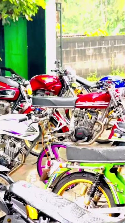 story wa tiger bintang fortuna