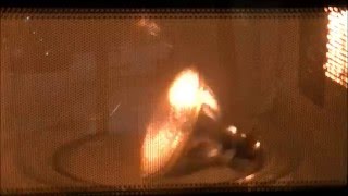 Microwave Me: 65 Watt Miser Heat Lamp