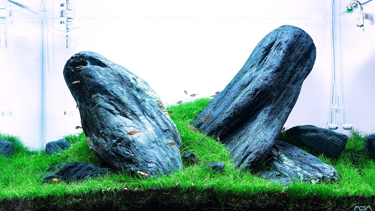 TOMMY'S 60P IWAGUMI AQUASCAPE AT GREEN AQUA - 4K CINEMATIC - YouTube