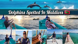 MALDIVES TRAVEL VLOG |  Dolphin Cruise | Maldives Vlog | Maldives Tour | Maldives Island | Dolphins