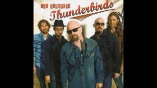 Video thumbnail of "The Fabulous Thunderbirds - Baby I Love You ( The Fabulous Thunderbirds ) 2009"