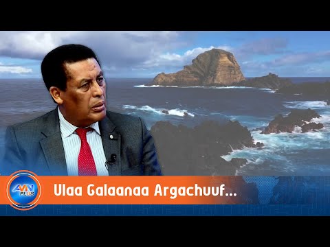 Ulaa Galaanaa Deebisnee Argachuuf Hojimanee Hedduu Qabna Amb Diinaa Muftii