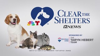 Humane Society Of Southeast Texas Hopes To Adopt As Many Pets As Possible On Saturday