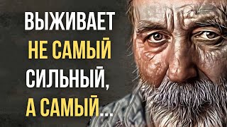 Ты Наконец Поймешь Эту Жизнь, Благодаря этим Мудрым Словам.