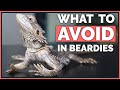 How NOT to Care for Bearded Dragons - Mistakes to Avoid!