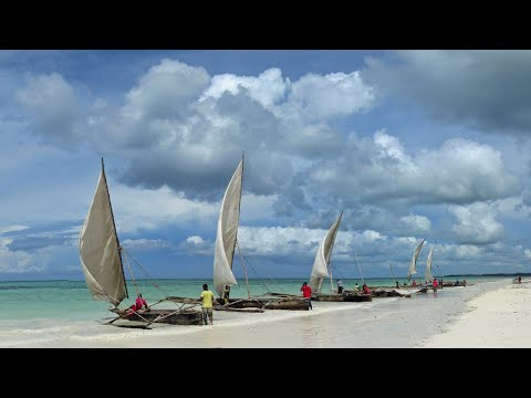 Vacation in Zanzibar: Relaxing Holiday at Tanzania’s Stunning Beaches