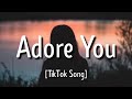 Miley Cyrus - Adore You (Lyrics) 