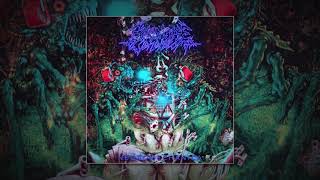 ByoNoiseGenerator - 3/4CavityHydroblowTango