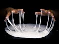 Le slime collant sonne 100 fois mieux que vous ne pouvez limaginer asmr